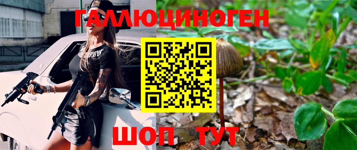 Псилоцибиновые грибы GOLDEN TEACHER  Вход с VPN  Псилоцибиновые грибы Psilocybine cubensis  Кудрово 